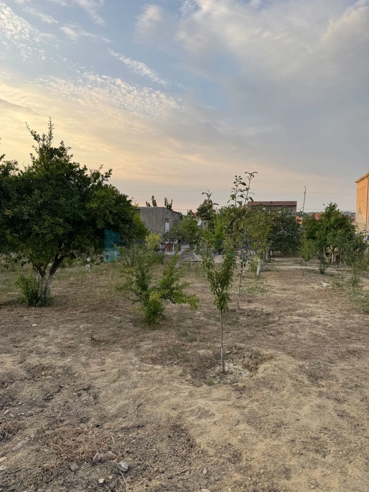 Satılır: Torpaq, Abşeron r., Saray q., 12.00 sot — Torpaq, Abşeron (4)
