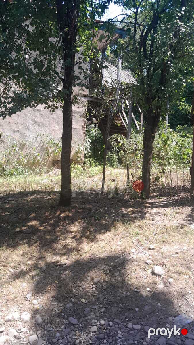 Satılır 2 otaqlı həyət evi/bağ evi 85 m² — Ev, villa, Qusar (4)