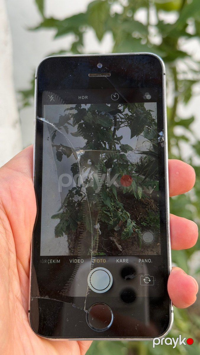 Apple iPhone 5S Space Gray 16GB — Smartfonlar, Bakı (3)