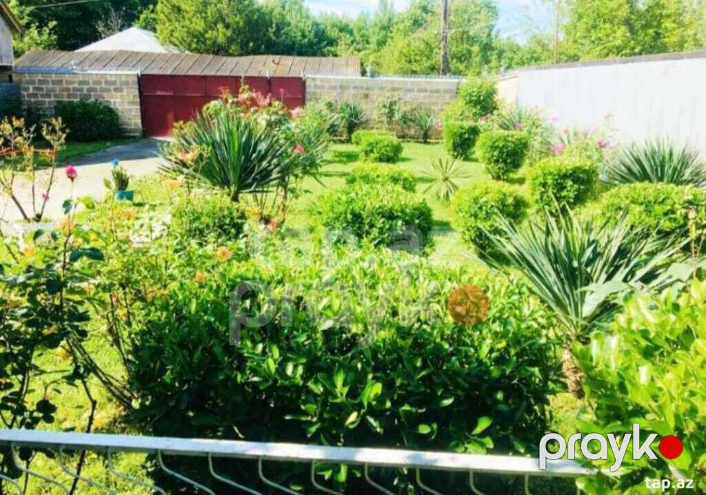 Balaken rayonunda 3otaq bir zal kuxna hamam geniş həyətli fərdi — Ev, villa, Balakən (5)
