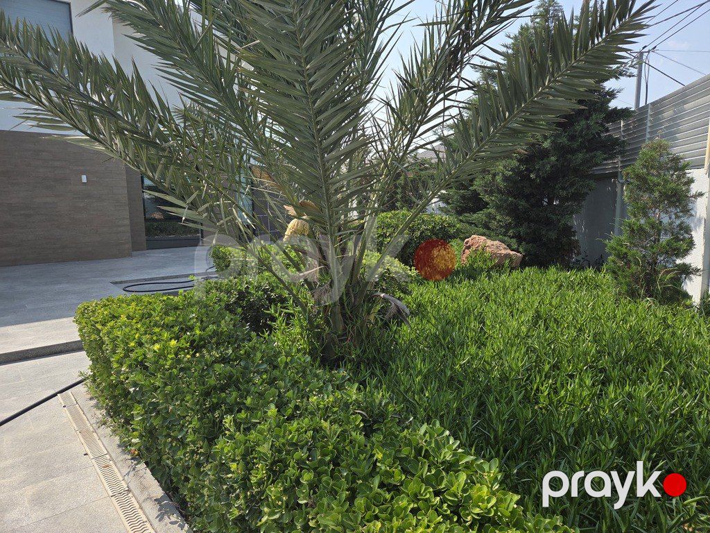 Satılır 6 otaqlı həyət evi/bağ evi 500 m² — Ev, villa, Bakı (8)
