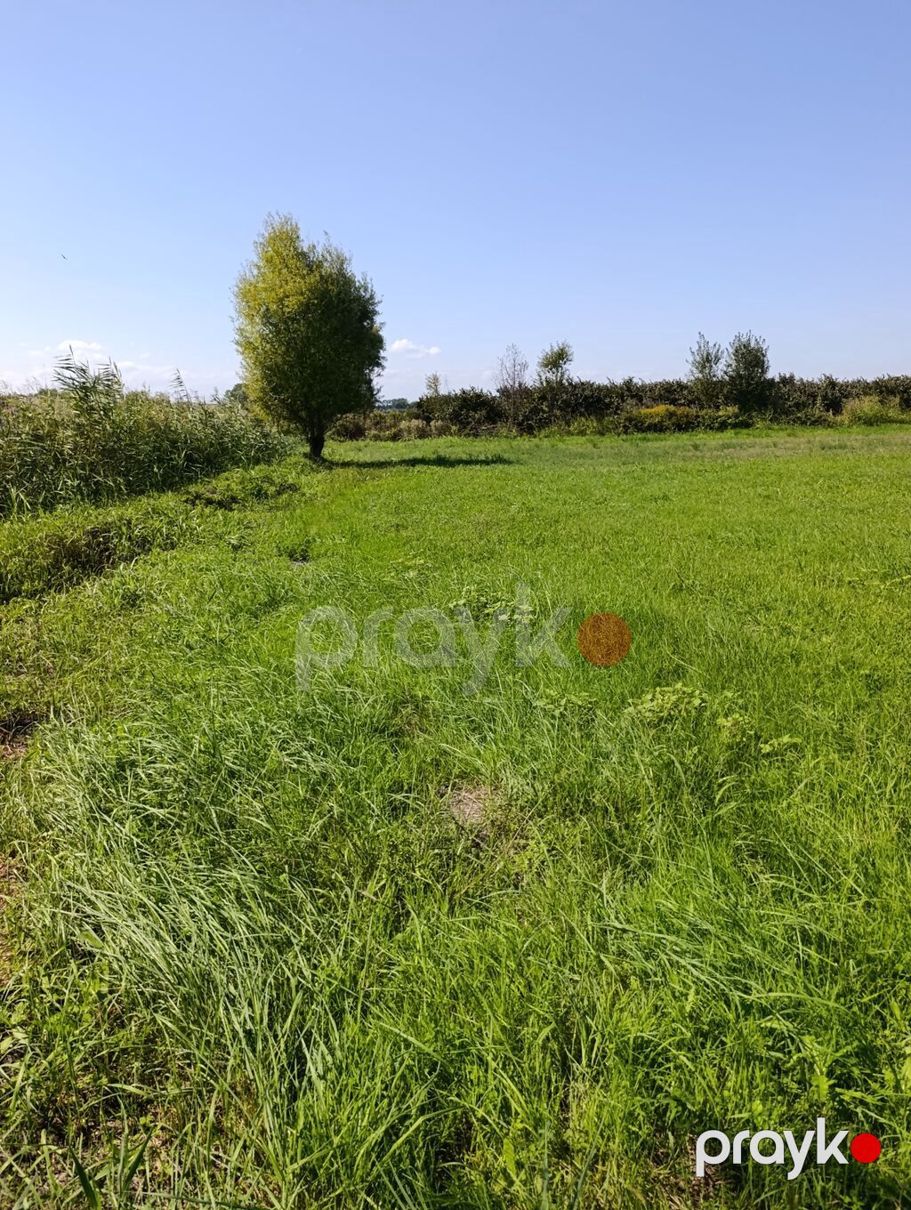 Kənd təsərrüfatı — Torpaq, Xaçmaz (2)