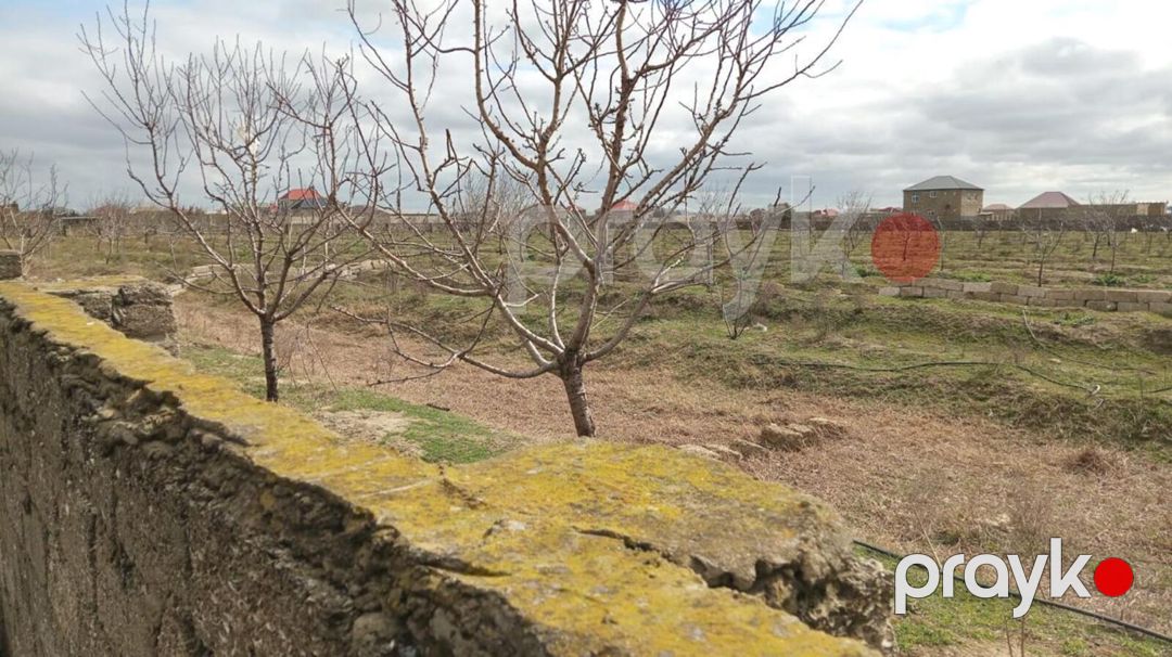Satılır torpaq 130 sot — Torpaq, Bakı (8)