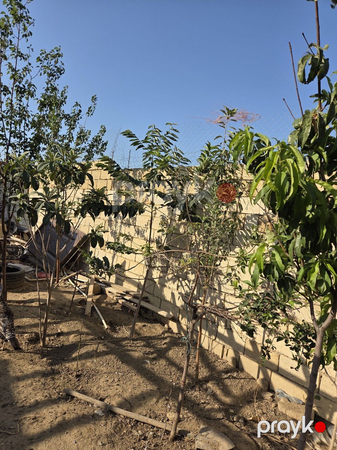 Satılır 4 otaqlı həyət evi/bağ evi 180 m² — Ev, villa, Bakı (2)