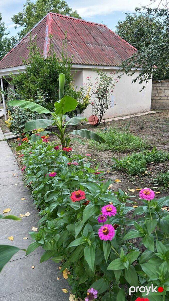 Bağ evi kirayə verilir, Nabran r — Ev, villa (5)
