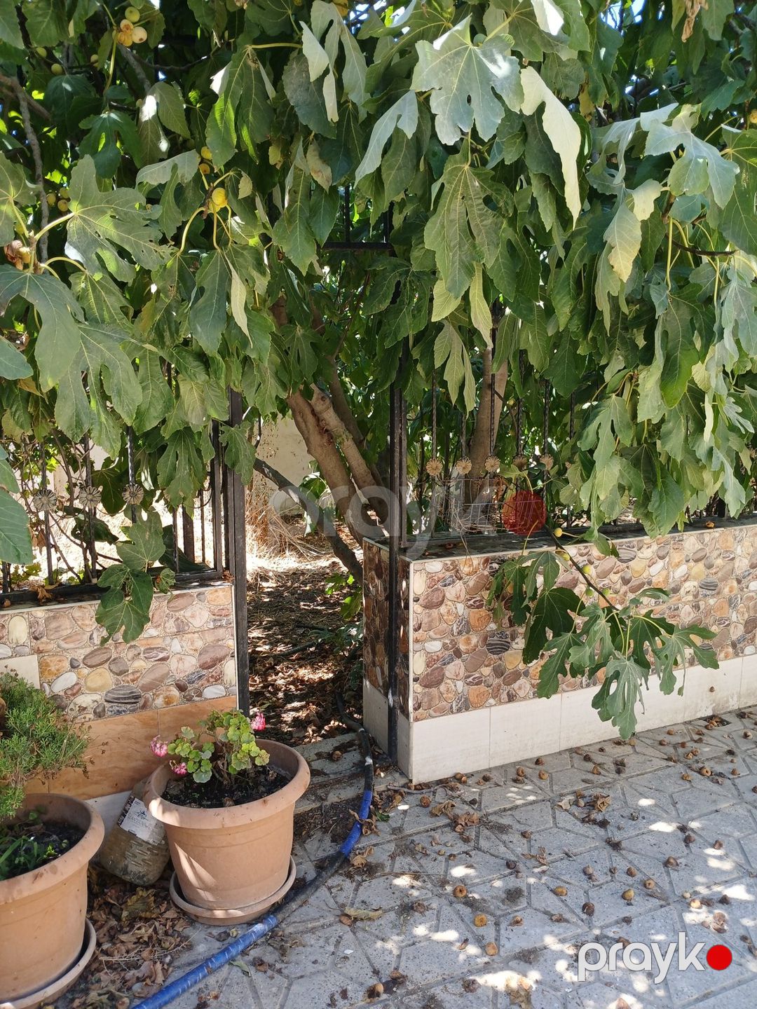 Satılır 4 otaqlı həyət evi/bağ evi 110 m² — Ev, villa, Bakı (6)