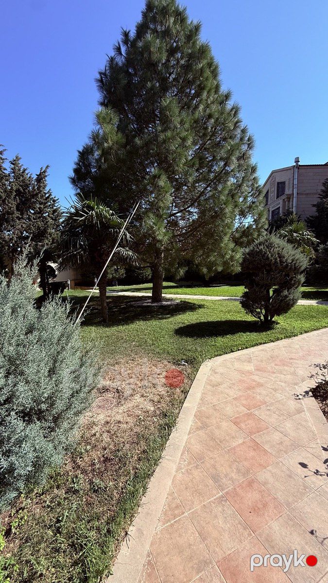 Satılır torpaq 6 sot — Torpaq, Bakı (2)