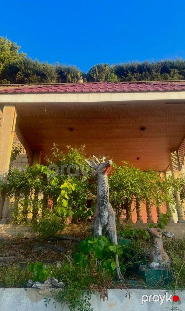 Bağ evi kirayə verilir, Novxanı qəs — Ev, villa, Bakı (7)