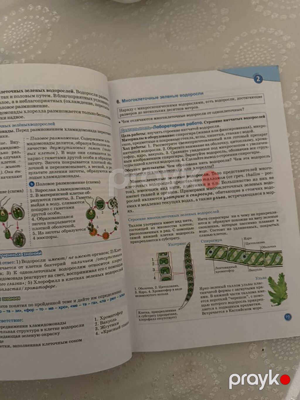 Məhsul: “Биология. Учебник. 7” – rus dilində 7-ci sinif üçün biologiya — Kitablar, Digah (2)