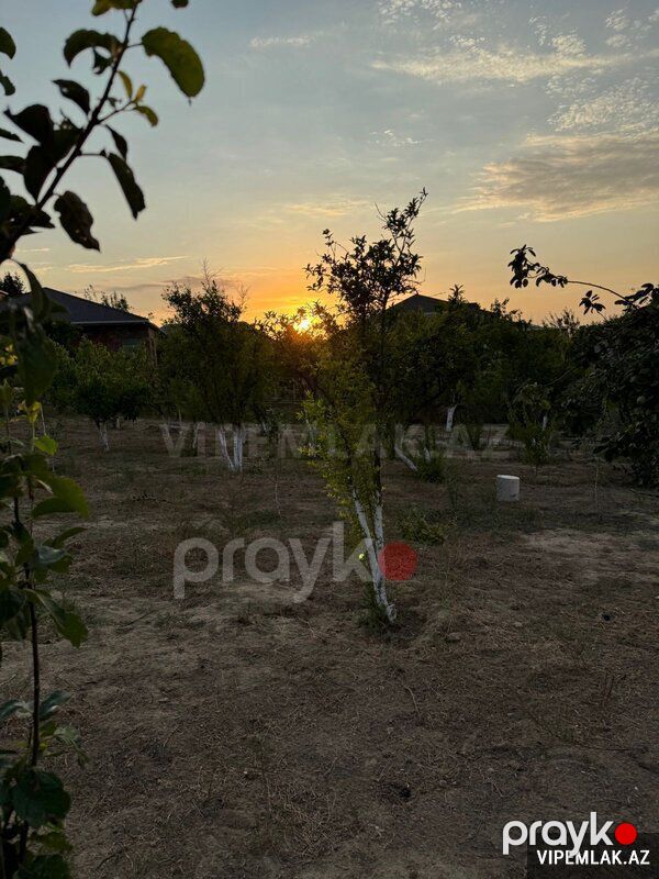 Abşeron rayonunda Torpaq Satılır, 12 sot — Torpaq, Bakı (2)