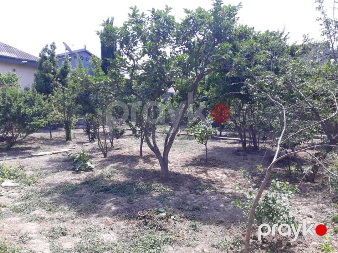 Satılır torpaq 8 sot — Torpaq, Bakı (5)