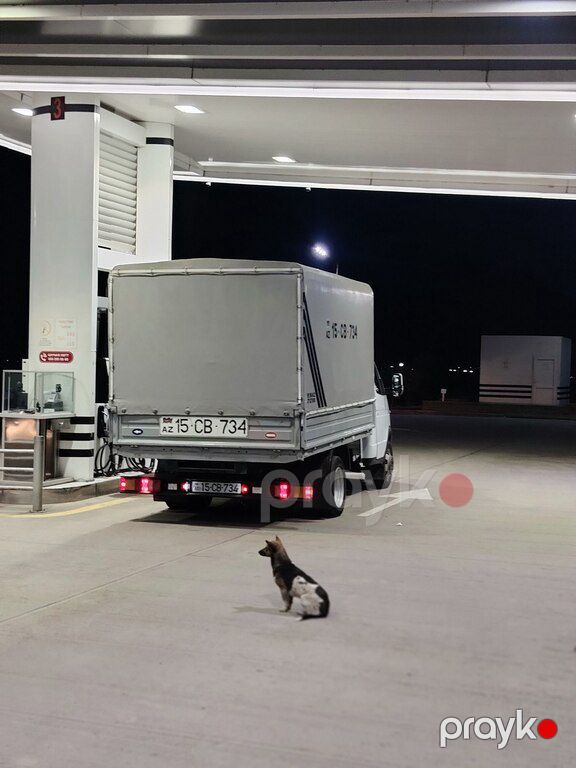 GAZ GAZel (33027-745), 2.4 L, 2003 il, 265 000 km — Yük maşınları, Cəlilabad (2)