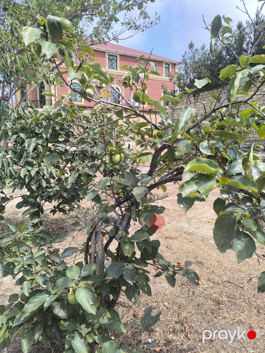 Satılır torpaq 7 sot — Torpaq, Bakı (4)