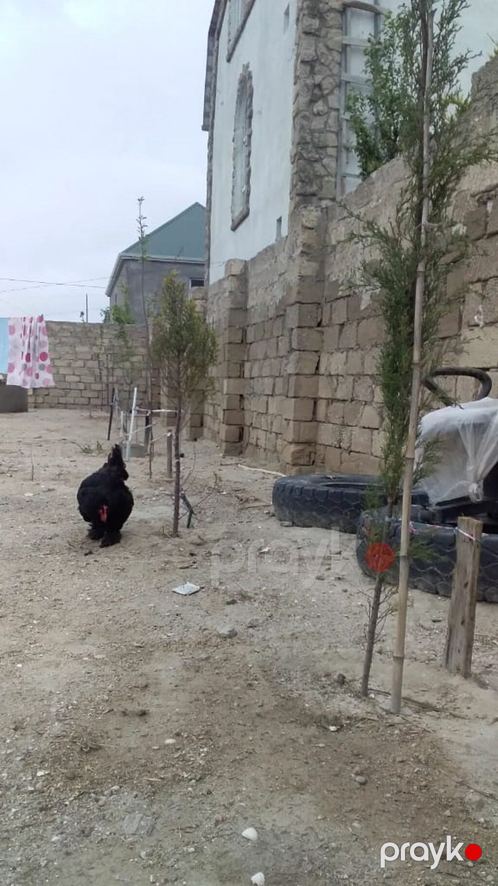 70 kv. m, 2 otaqlı — Ev, villa, Bakı (7)