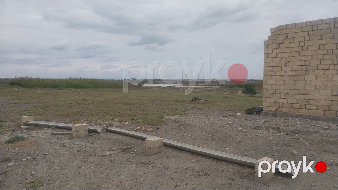 8 sot torpaq sahəsi, Salyan r — Torpaq, Salyan (9)