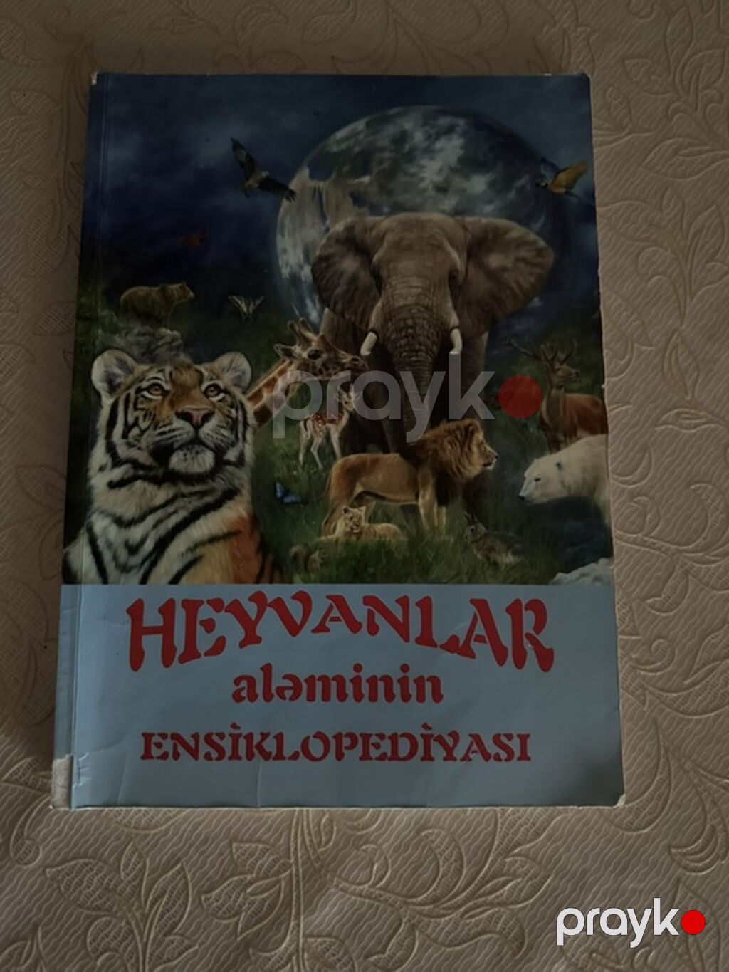 Kitablar təmiz və səlqəlidi.Üstündə yazılmayıb.Məktəb və imtahan — Kitablar, Masazır (8)