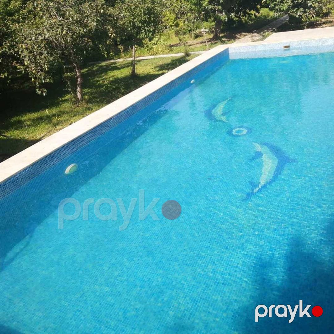 İcarəyə verilir 6 otaqlı həyət evi/bağ evi 300 m² — Ev, villa, Bakı (4)