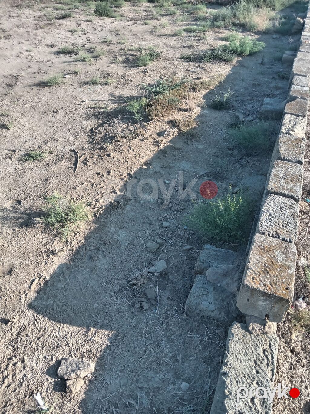 Tikinti — Torpaq, Bakı (3)