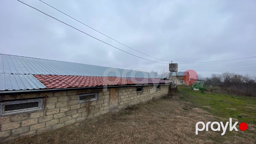 Satılır torpaq 200 sot — Torpaq, Quba (12)