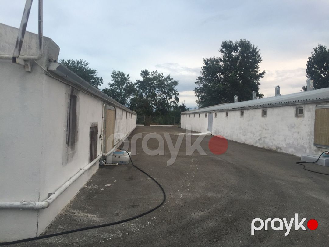 Satılır obyekt 2880 m² — Əmlak, Xaçmaz (2)