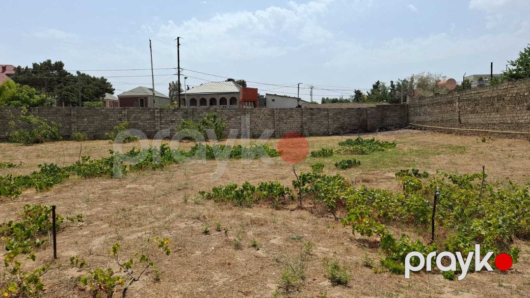 Satılır torpaq 12 sot — Torpaq, Bakı (2)