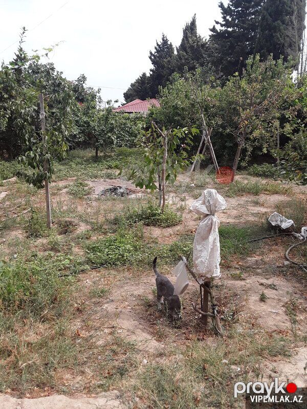Sabunçu rayonunda 1 otaqlı Torpaq Satılır, 3 sot — Torpaq, Bakı (2)