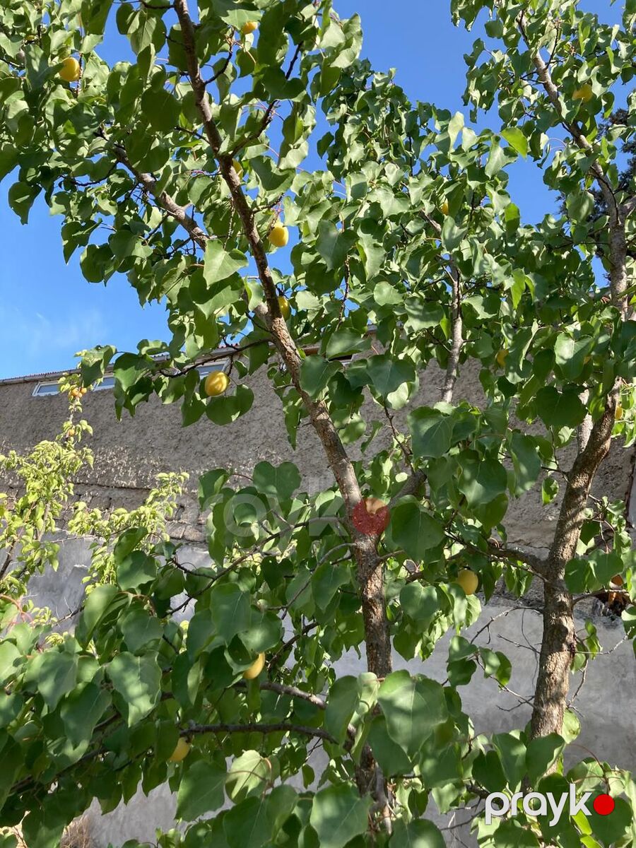 Satılır 5 otaqlı həyət evi/bağ evi 160 m² — Ev, villa, Bakı (5)