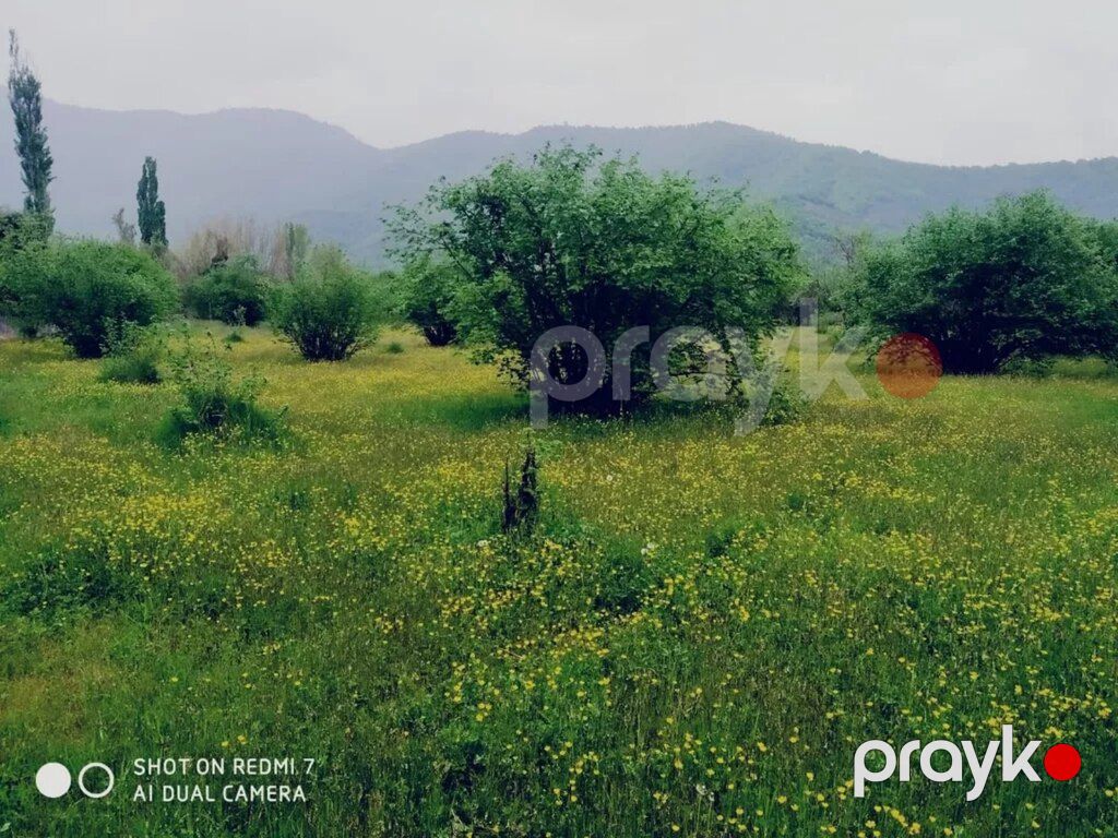 1000 sot torpaq sahəsi, Balakən r — Torpaq, Balakən (2)