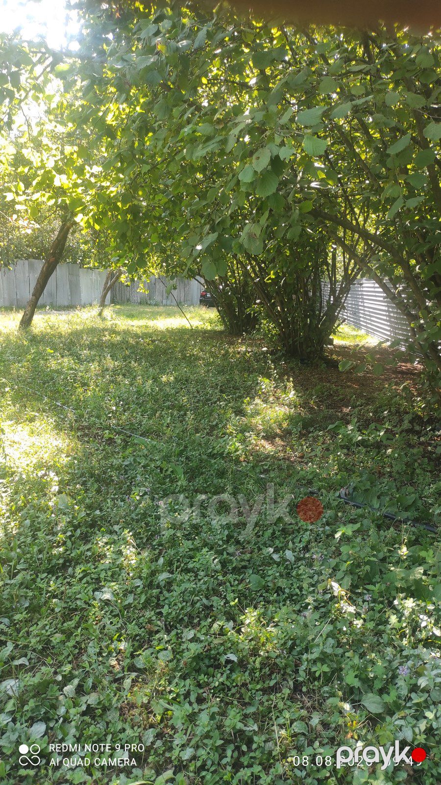 Satılır torpaq 6 sot — Torpaq, Qəbələ (2)