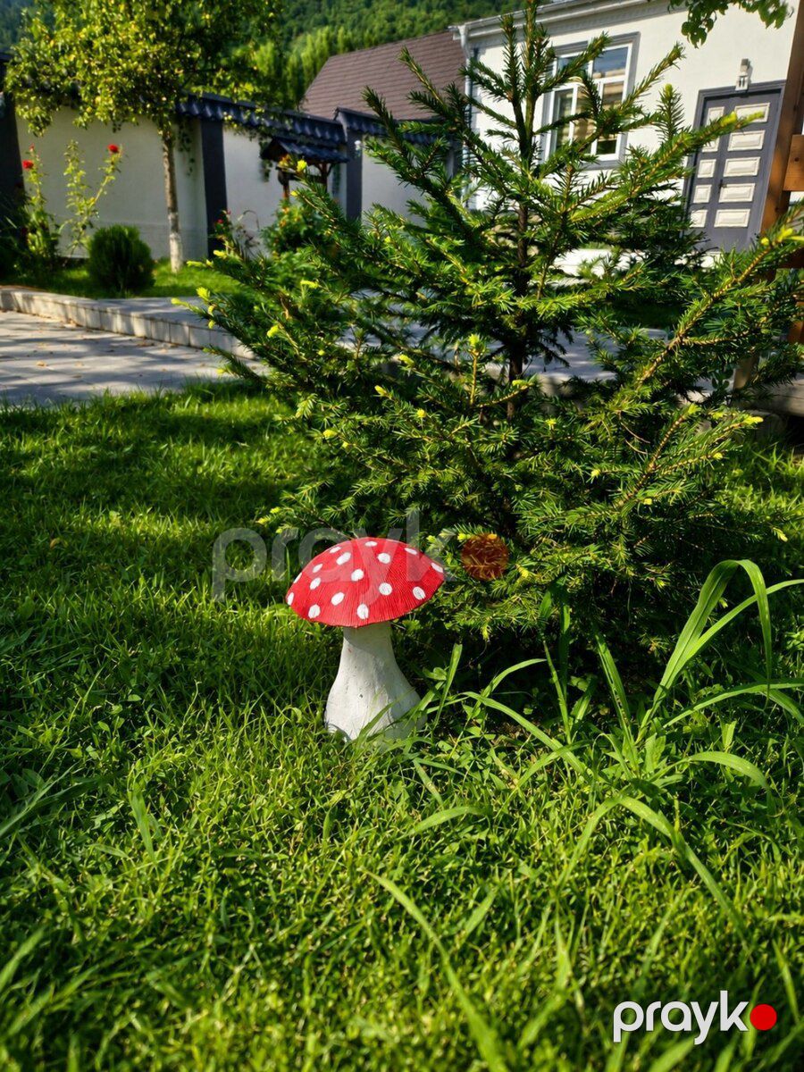 Villa kirayə verilir, Qəbələ ş — Ev, villa, Qəbələ (12)