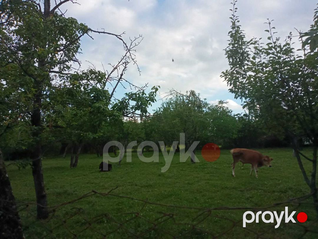 21 sot torpaq sahəsi, İsmayıllı r — Torpaq, İsmayıllı (3)