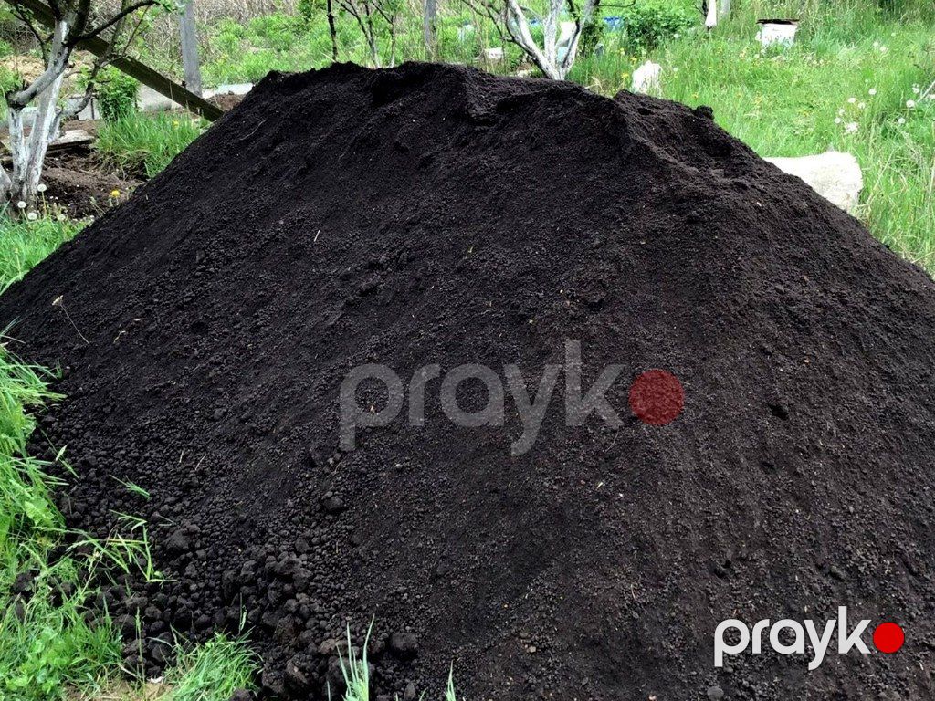 Qara torpaq və peyin — Dacha və bağ, İsmayıllı (11)