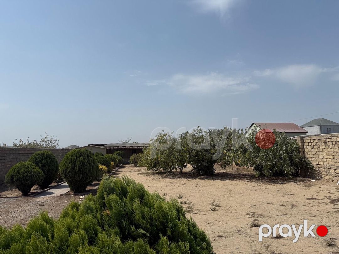 Satılır torpaq 22 sot — Torpaq, Bakı (7)