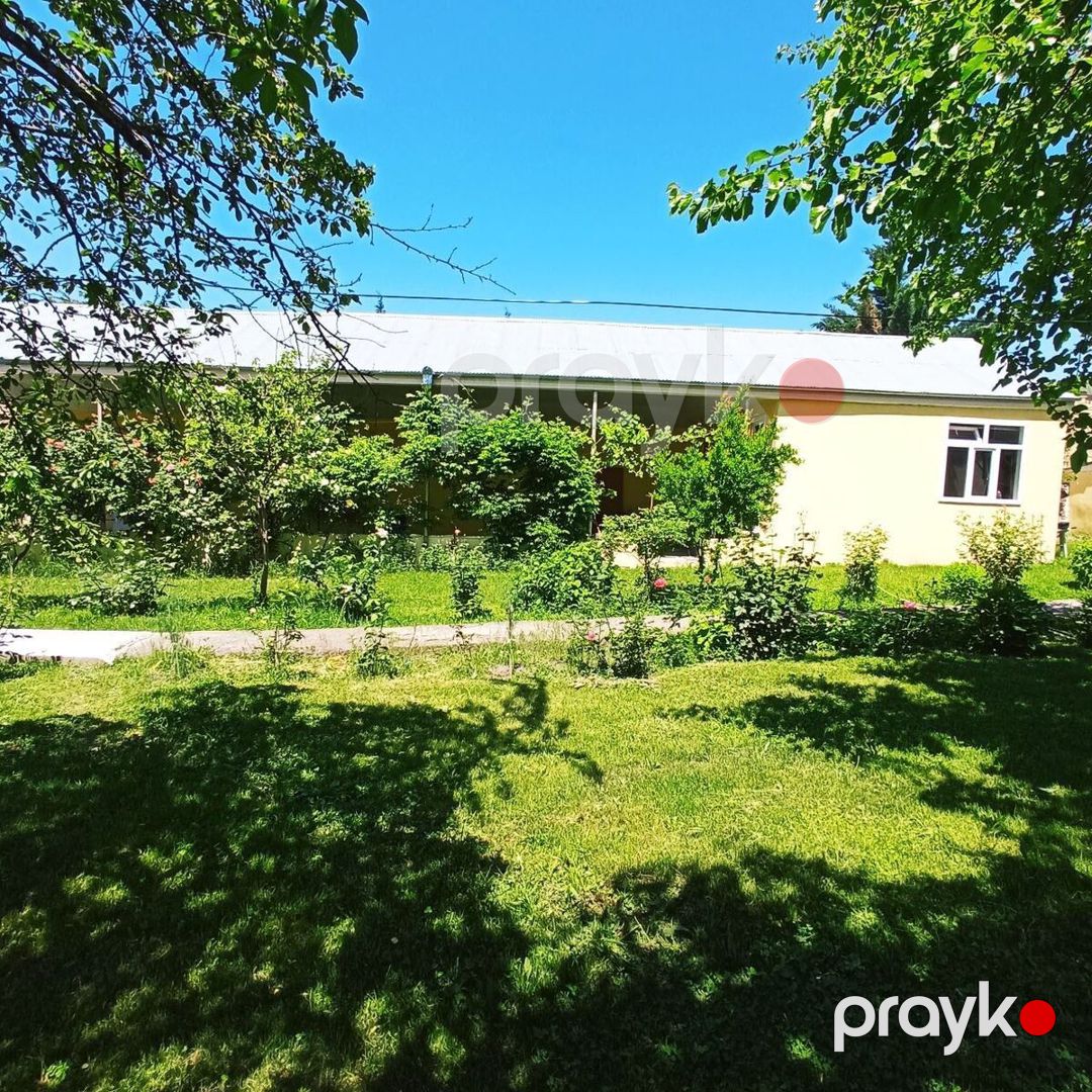 Satılır torpaq 30 sot — Torpaq, Qəbələ (2)