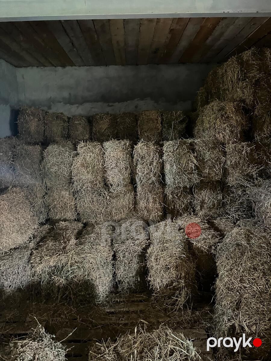 Satılır 10 otaqlı həyət evi/bağ evi 1500 m² — Ev, villa, Biləsuvar (10)