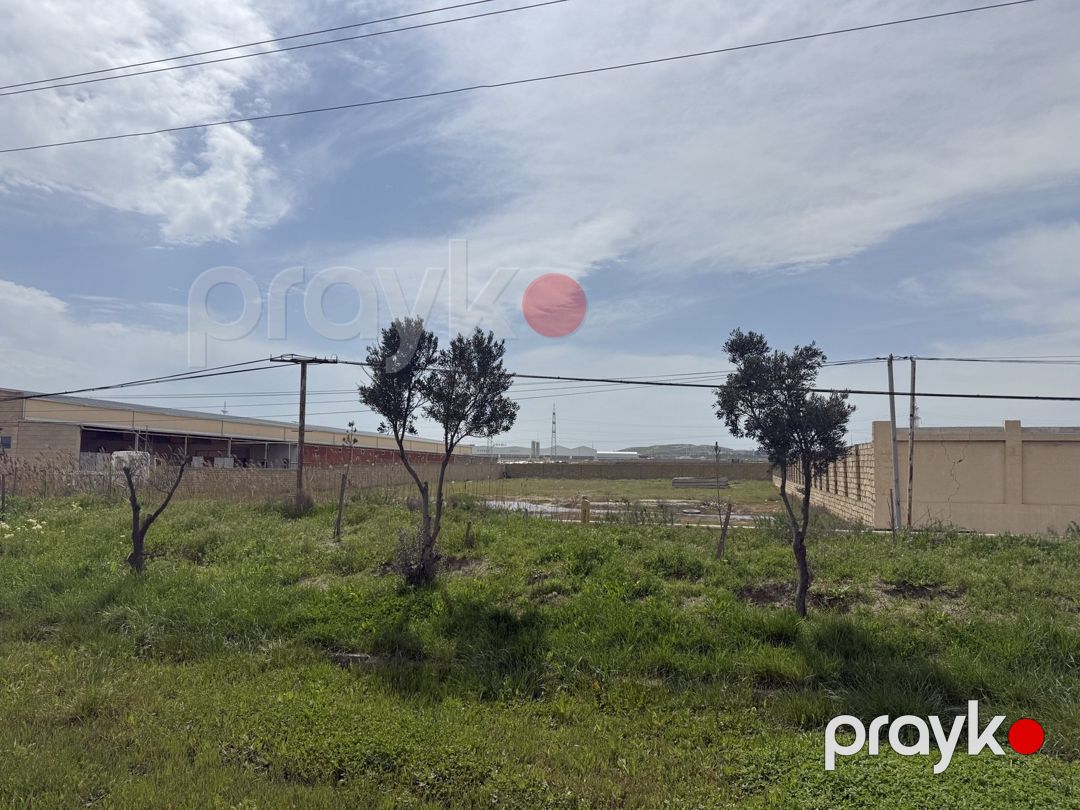 255 sot torpaq sahəsi, Hökməli qəs — Torpaq, Bakı (2)