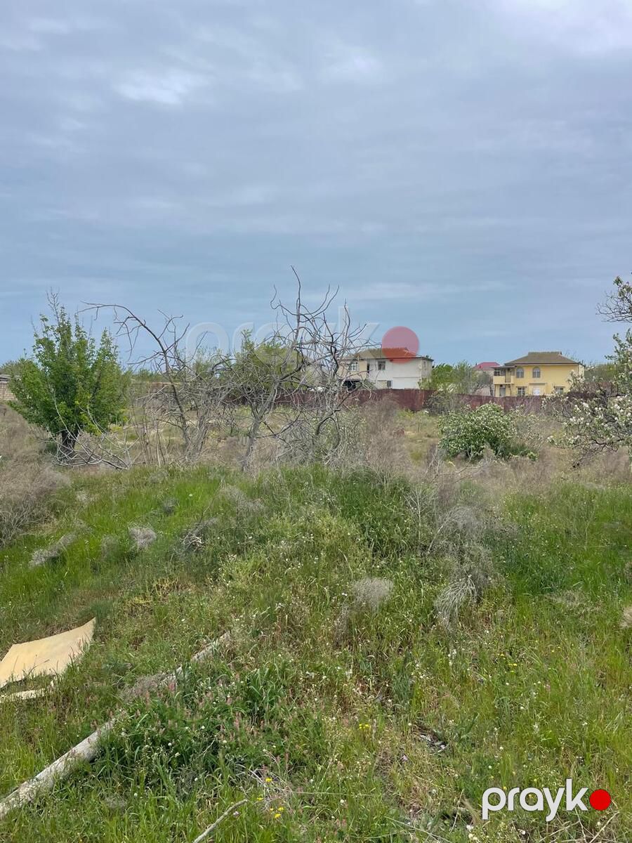 Satılır torpaq 60 sot — Torpaq, Bakı (11)