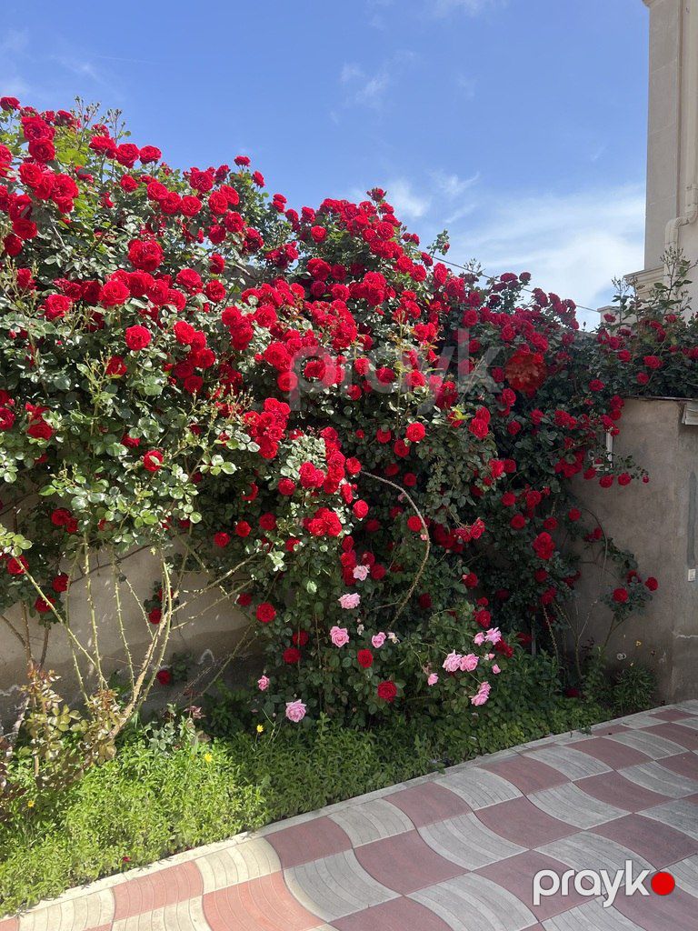 Satılır 3 otaqlı həyət evi/bağ evi 135 m² — Ev, villa, Bakı (2)