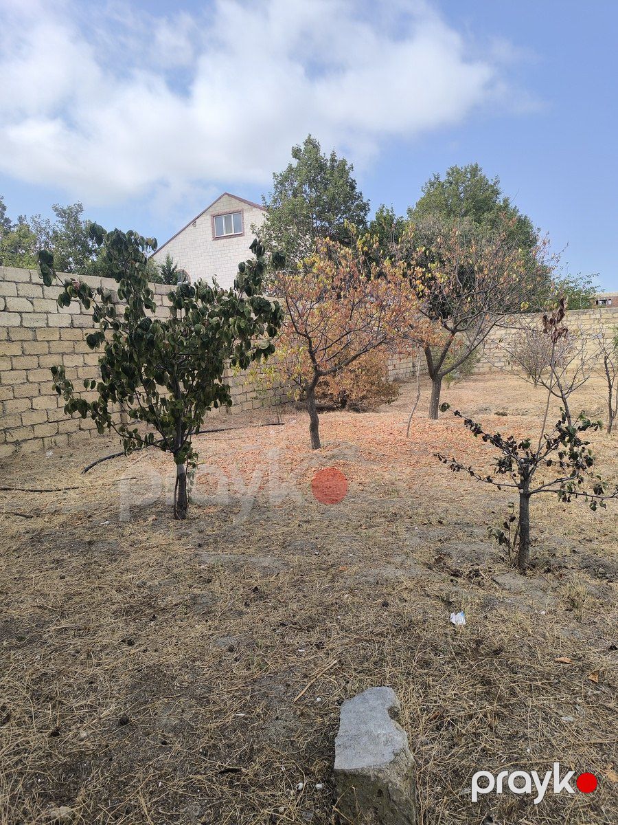 Satılır torpaq 7 sot — Torpaq, Bakı (11)