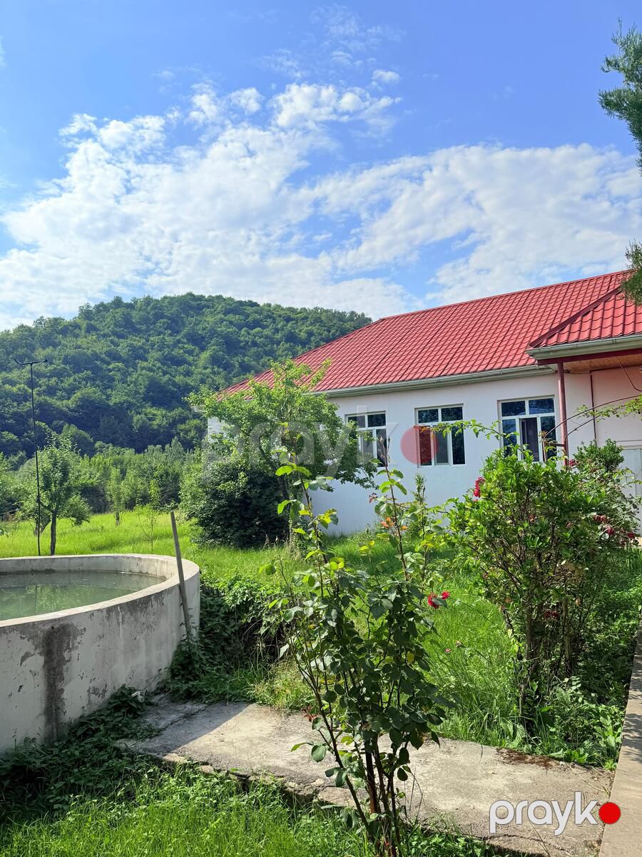 Həyət evi kirayə verilir, Qəbələ r — Ev, villa, Qəbələ