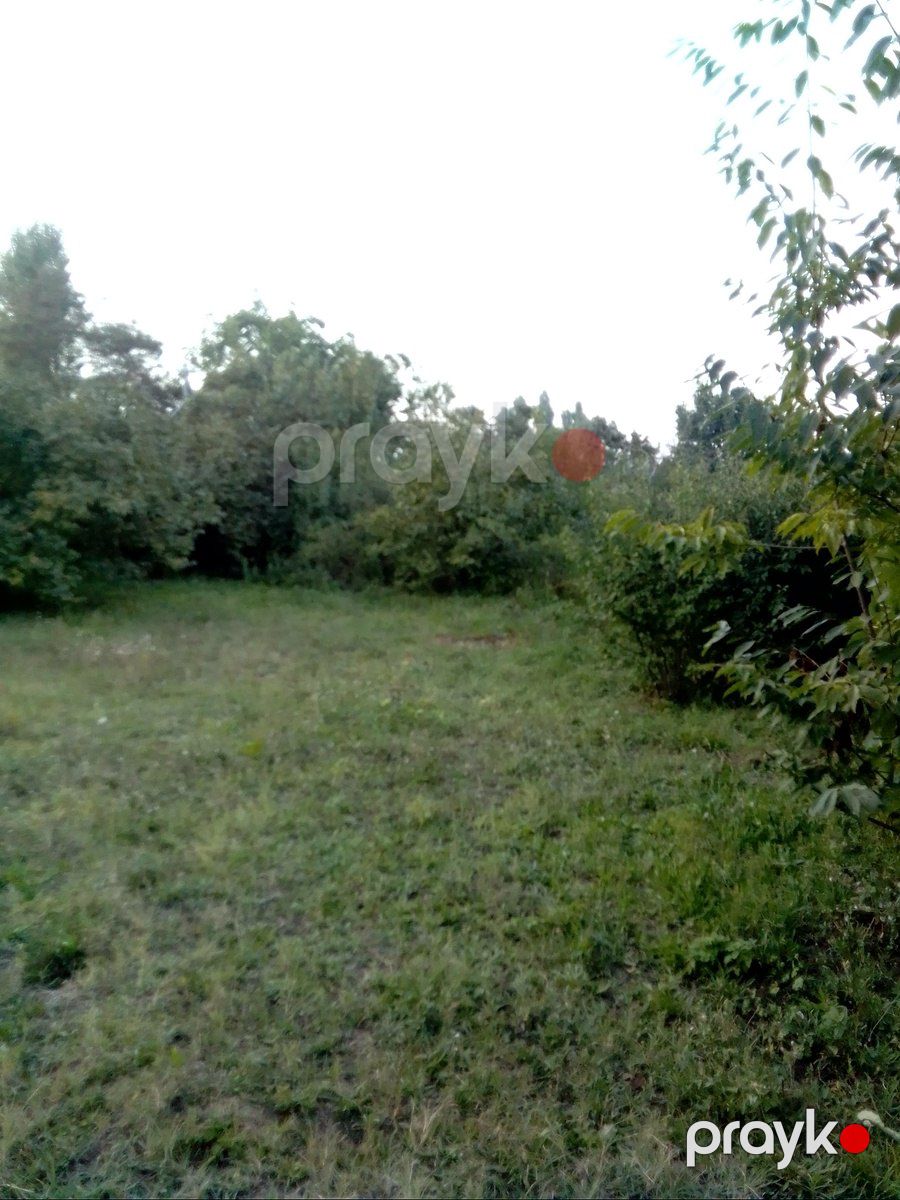 Satılır torpaq 16 sot — Torpaq, Qusar (2)