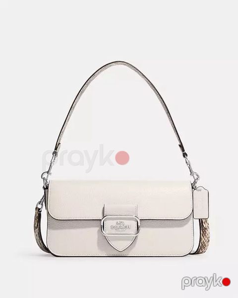 Coach firmasinin sumkasi, oriqinal 250 dollara alinib, 2 defe istifade — Bakı