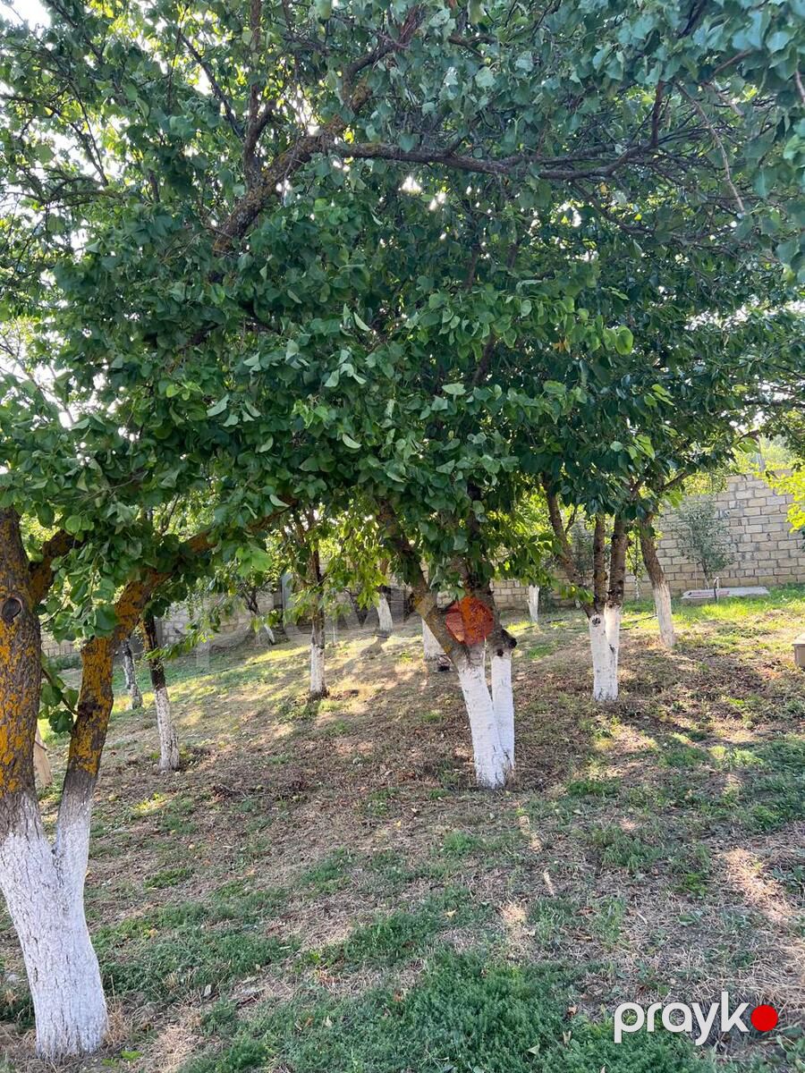 Bağ evi, Xızı r — Ev, villa, Xızı (6)