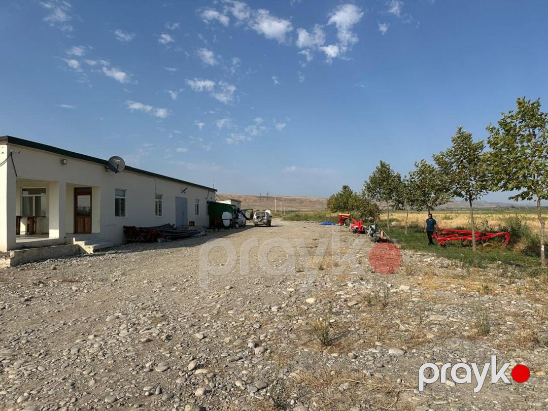 Satılır torpaq 31500 sot — Torpaq, Ağsu (8)