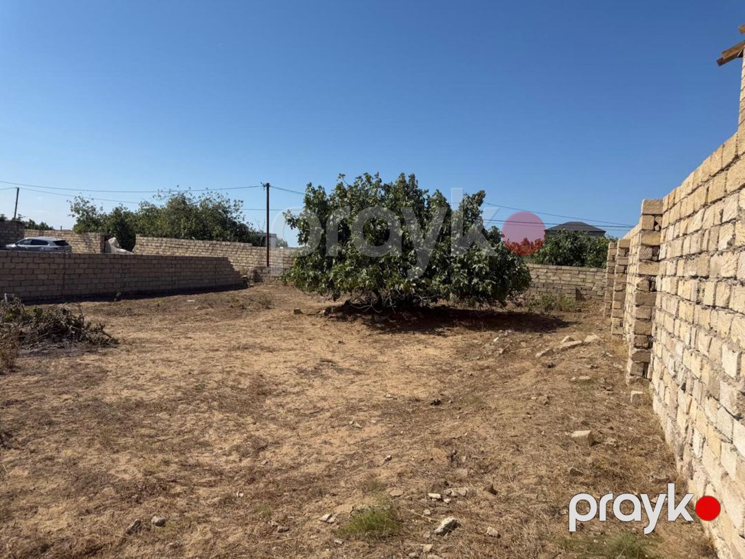Satılır torpaq 5 sot — Torpaq, Bakı (5)