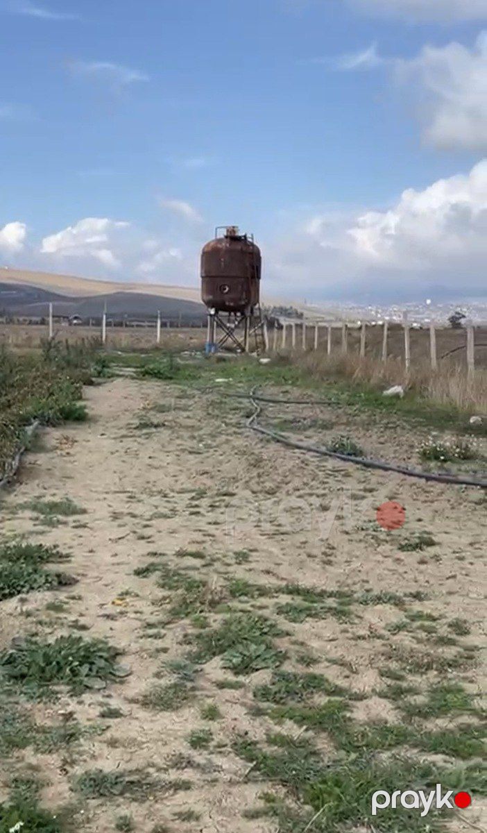 100 sot torpaq sahəsi, Şamaxı r — Torpaq, Şamaxı (12)