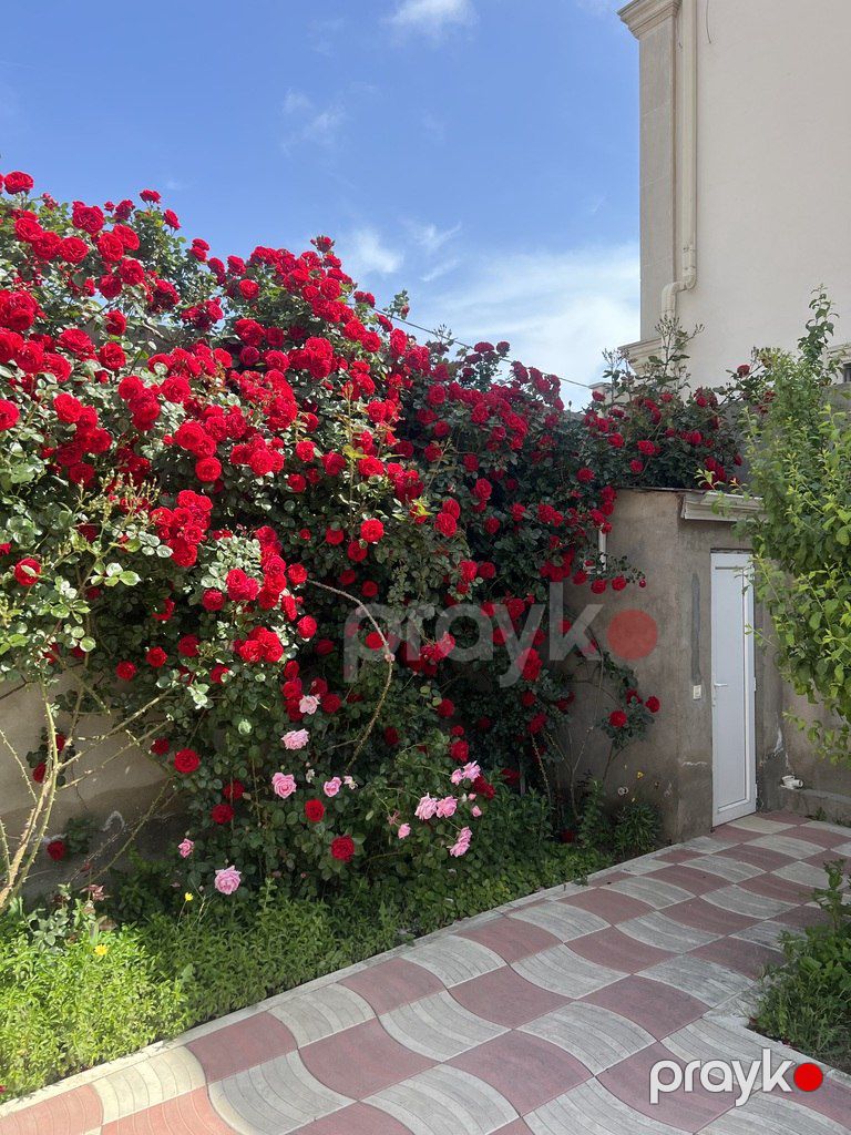 Satılır 3 otaqlı həyət evi/bağ evi 135 m² — Ev, villa, Bakı (9)