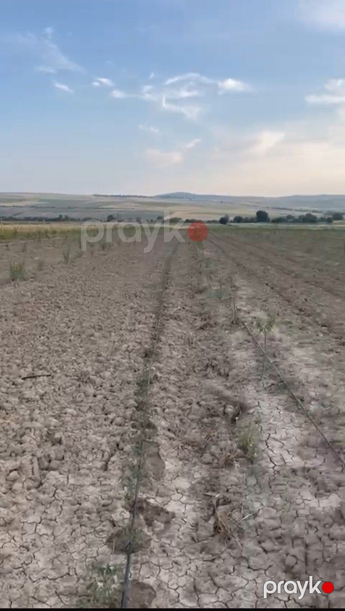 100 sot torpaq sahəsi, Şamaxı r — Torpaq, Şamaxı (7)