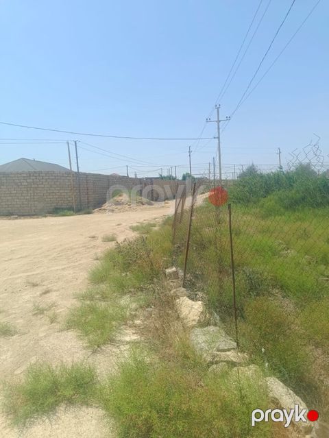 Tikinti — Masazır