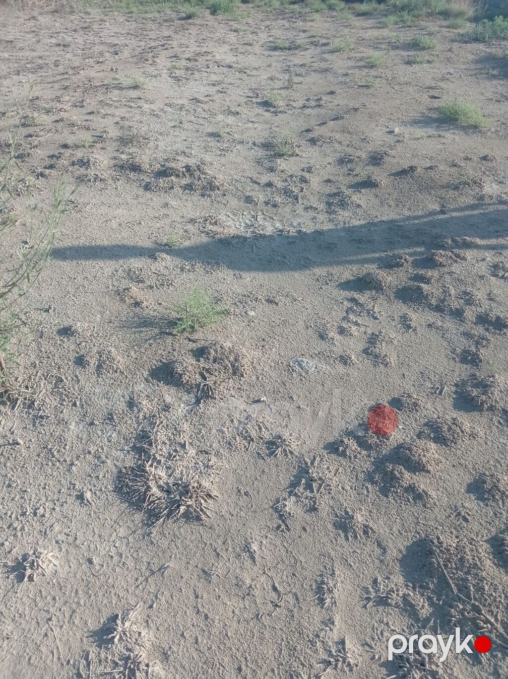 Tikinti — Torpaq, Bakı
